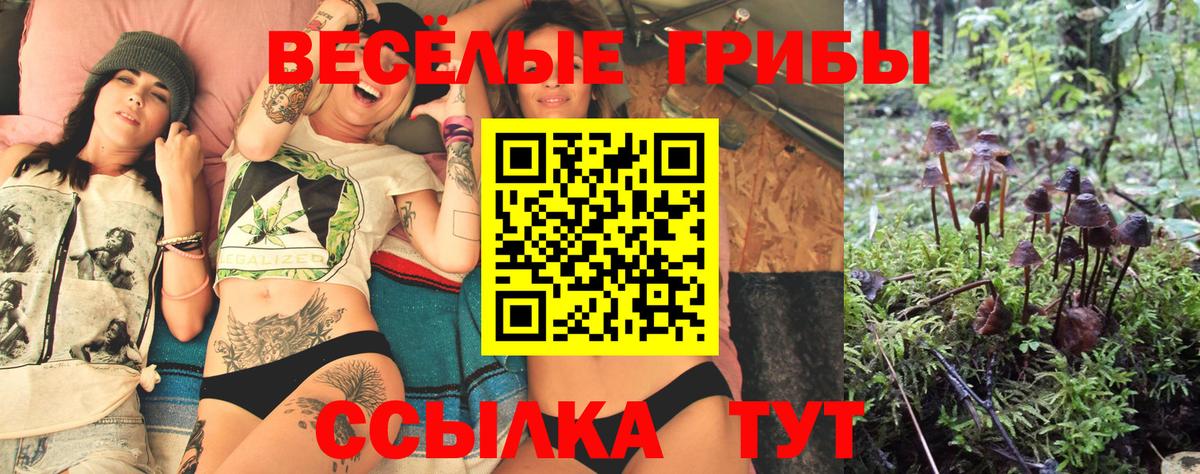 Галлюциногенные грибы прущие грибы  Галлюциногенные грибы Magic Shrooms  Пенза  Вход с VPN 